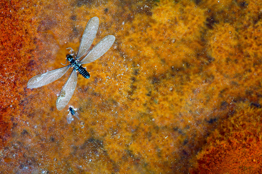 Extreme living conditions